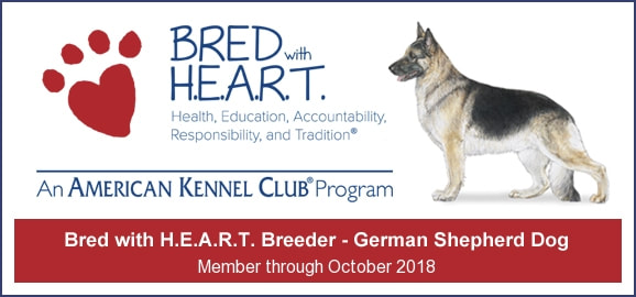 Bred with HEART AKC